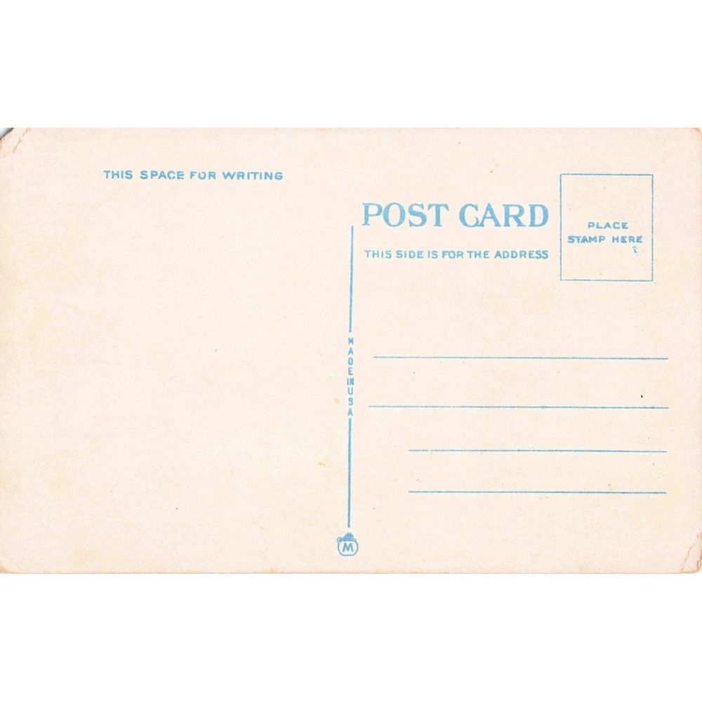Vintage Legend of the Spanish Moss Florida Linen Postcard Old Moss Oak Poem - Picture 2 of 2